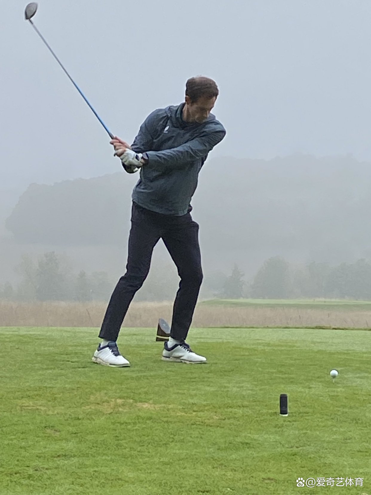 德国网球队完胜法国网球队，穆雷统治全场的简单介绍