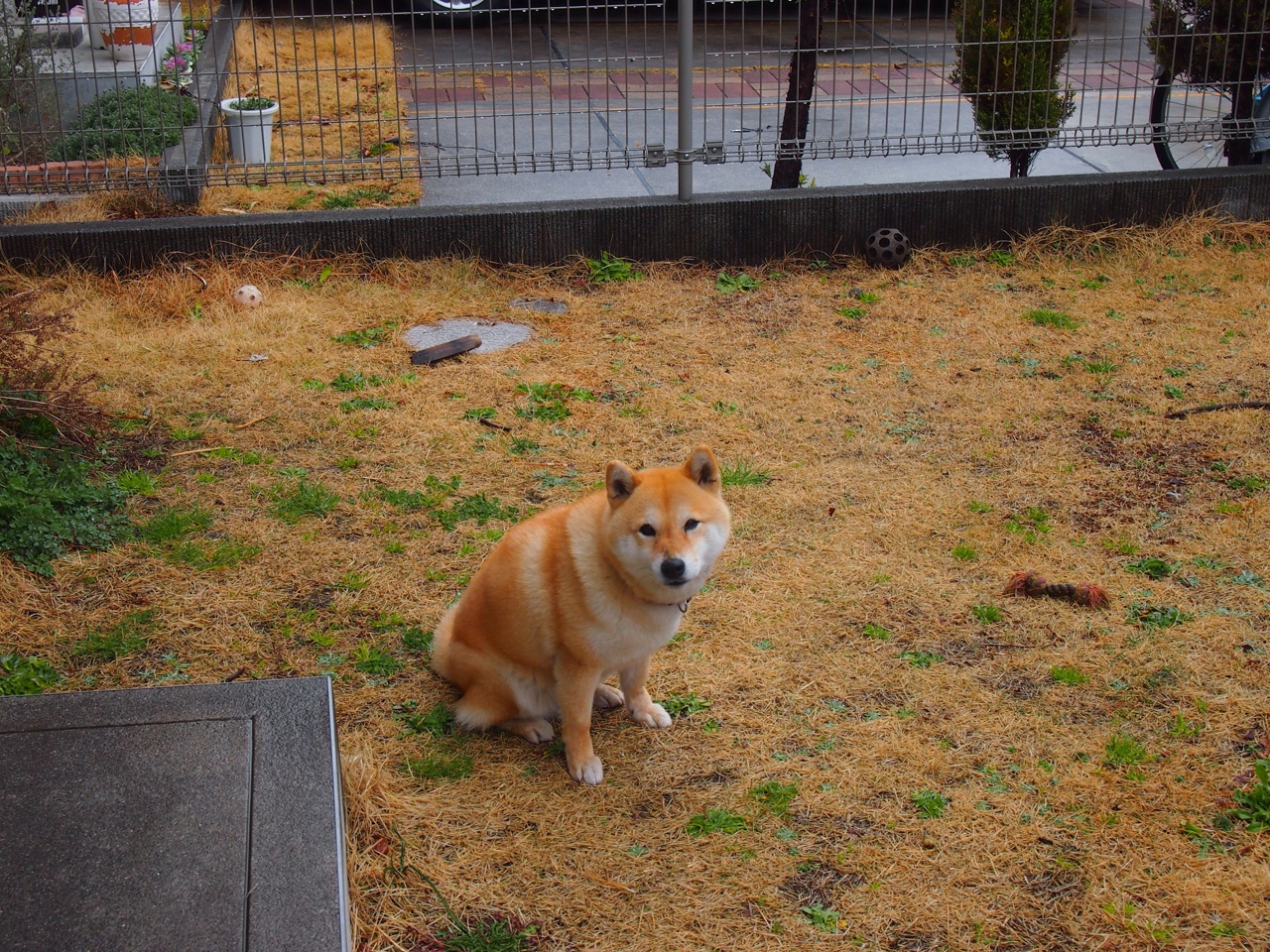 绿军铁血映日辉，抢七鏖战，凯尔特人如何击溃太阳登顶？